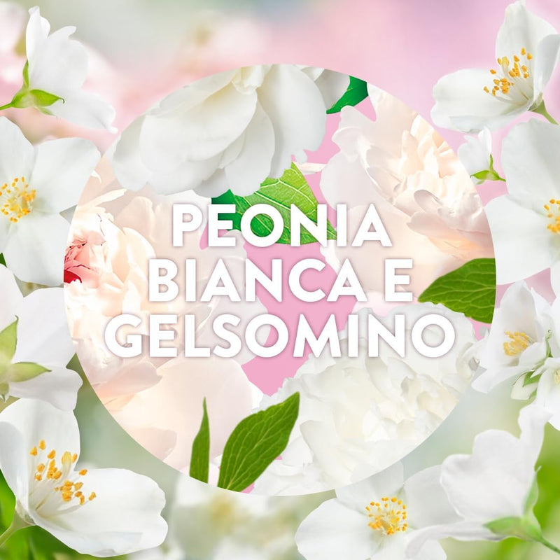 Air Wick Diffusore Elettrico di Oli Essenziali, 1 Diffusore Completo Gadget e Ricarica + 2 Ricariche alla Fragranza Peonia Bianca e Gelsomino